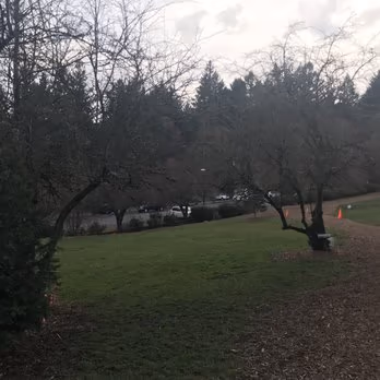 Hillsdale Park
